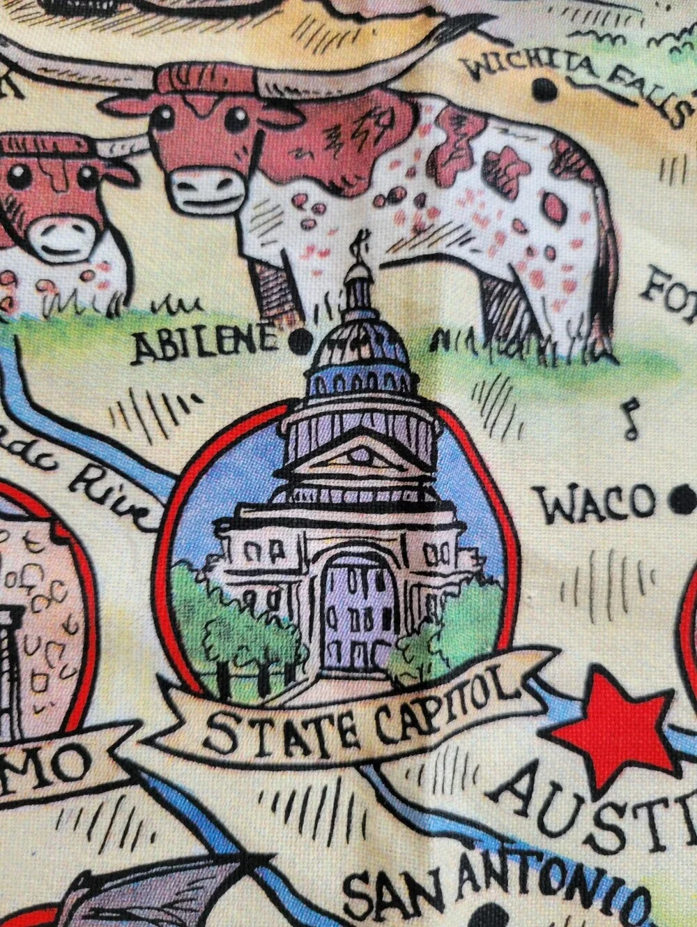 Texas Lone Star State Colorful Tea Towel Art by Carrie Wagner ~ NWOT